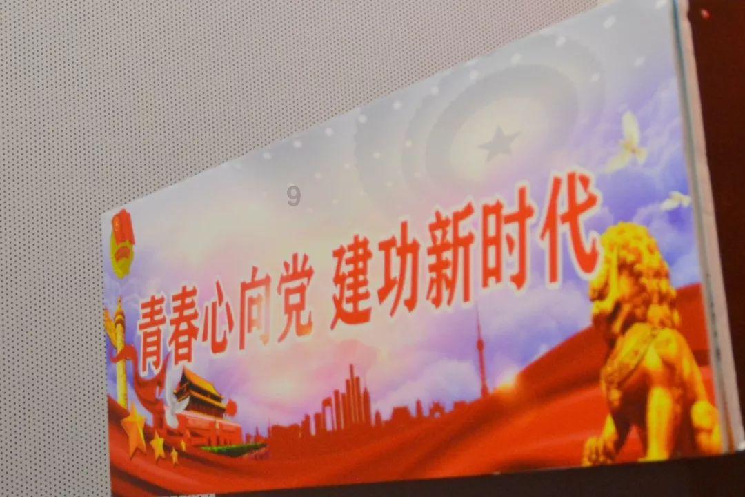 寻找奈良树花